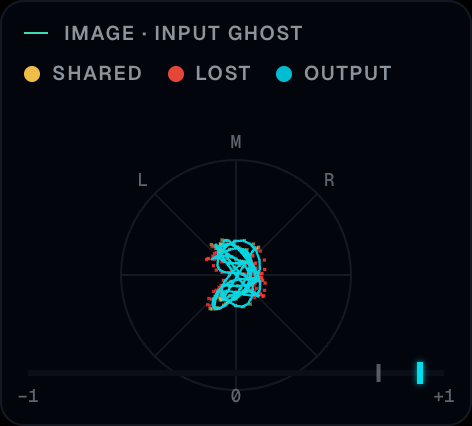 The round display with M at the top, L and R marked, a ghost of the input and a solid trace of the output, plus the correlation strip from −1 to +1 with both markers visible.
